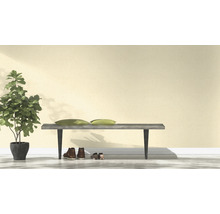 Scene met bank, kussens, schoenen en kamerplant in pot