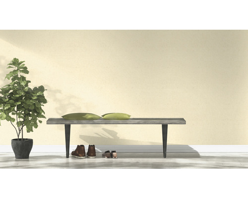 Scene met bank, kussens, schoenen en kamerplant in pot