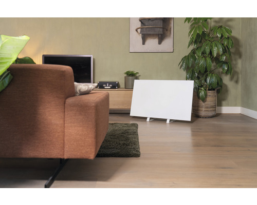 Woonkamer met bank, televisie, kamerplanten en paneelverwarming