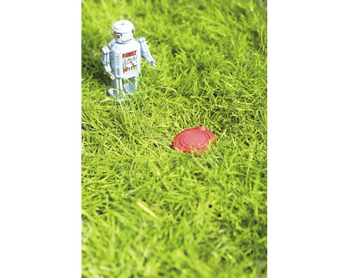 Scene met een speelgoedrobot en een kleiduif in het gras