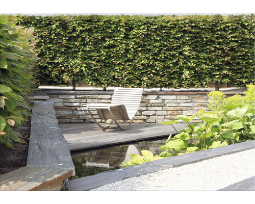 Tuinscene met heg, stenen muur, houten terras, vijver en houten stoel