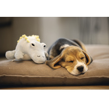 Slapende Beagle puppy met knuffel op hondenkussen