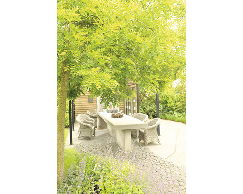 Aangelegde tuin met eettafel, rotan stoelen en beplanting.