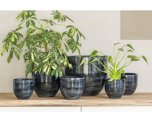 Arrangement van verschillende bloempotten op een houten tafel