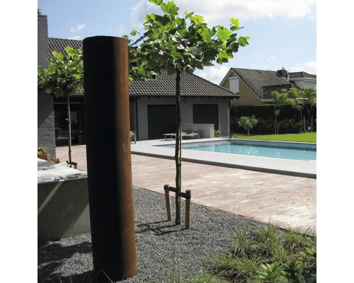 Buitenshot met boomsteun, boom en tuin