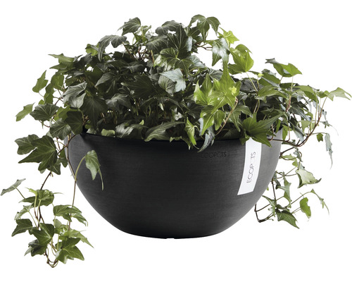 Ecopots plantenbak met klimop