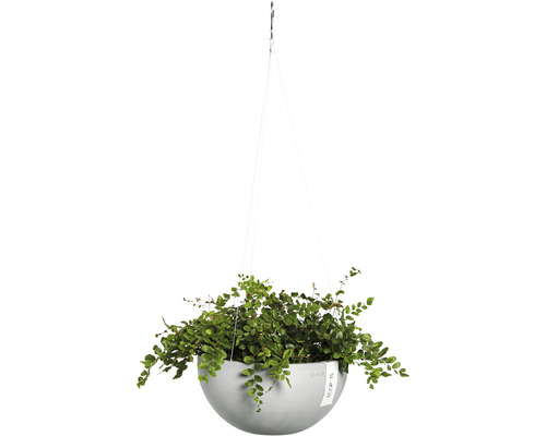 Hangende plantenbak met groene plant