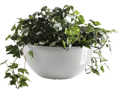 Ecopots hangmand met klimop