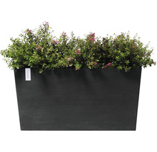 Rechthoekige plantenbak met beplanting