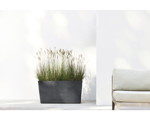 Rechthoekige plantenbak met grassen op terras