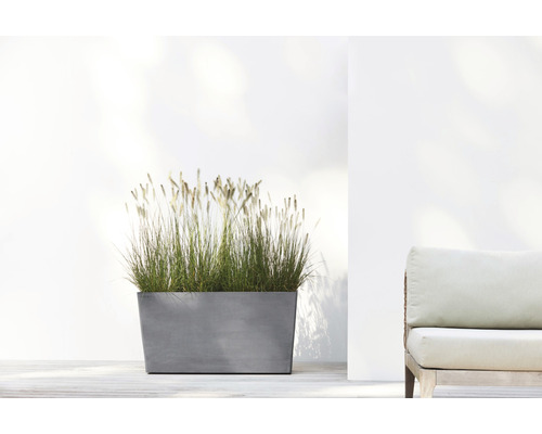 Rechthoekige plantenbak met siergras op een terras