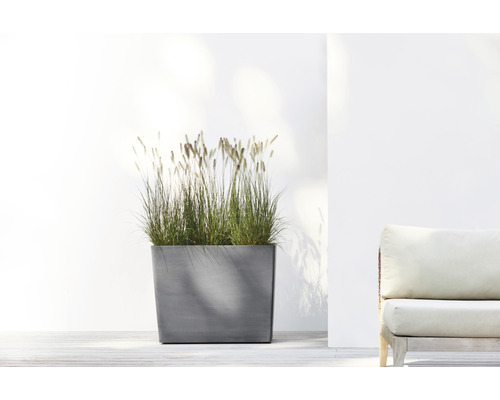 Rechthoekige plantenbak van beton met siergras