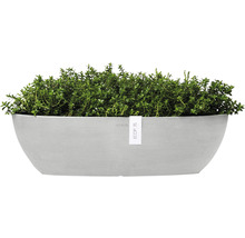 Plantenbak met beplanting