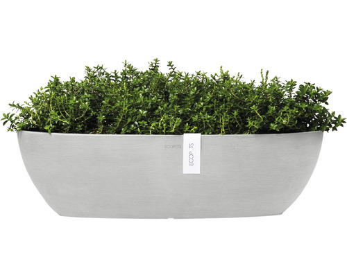 Plantenbak met beplanting