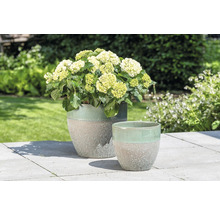 Twee keramische bloempotten met plant in de tuin.