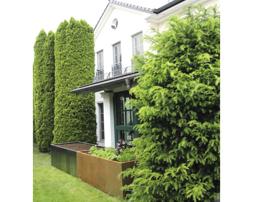 Buitenfoto van een huis met plantenbakken en naaldbomen