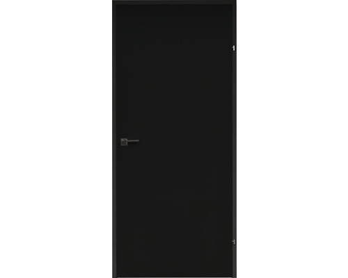 Zwarte binnendeur met deurklink