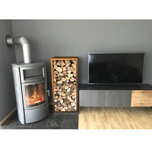 Woonkamer met kachel, houtopslag en tv op dressoir