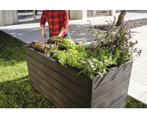 Kunststof verhoogde tuinbak beplant met sla in de tuin.