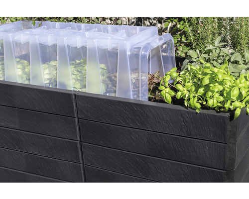 Verhoogde tuinbak met sla en broeikasopzetstuk