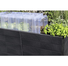 Verhoogde tuinbak met broeibakopzetstuk en sla planten