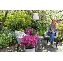 Tuinscene met vrouw, stoel, tafel, vloerlamp en rododendron