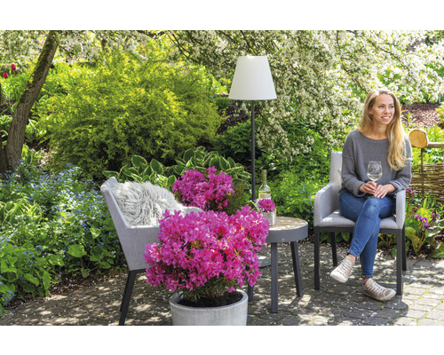 Tuinscene met vrouw, stoel, tafel, vloerlamp en rododendron