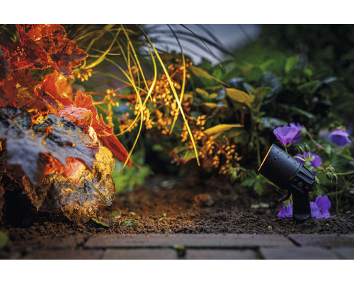 Tuinverlichting met een enkele spot tussen planten