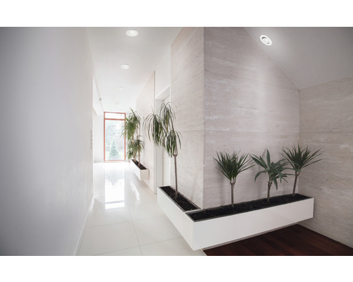 Lichte hal met planten in witte plantenbakken en inbouwspots in het plafond