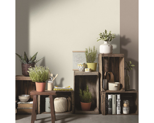 Decoratieve houten rekken met planten en woonaccessoires