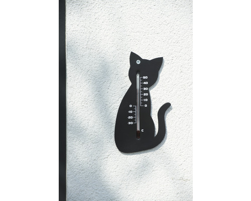 Katvormige thermometer voor temperatuurweergave