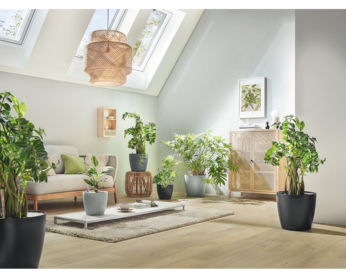Woonkamer met bank, tafel en diverse kamerplanten in plantenbakken