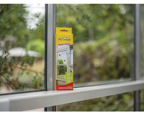 ECOstyle vliegenstickers op vensterglas
