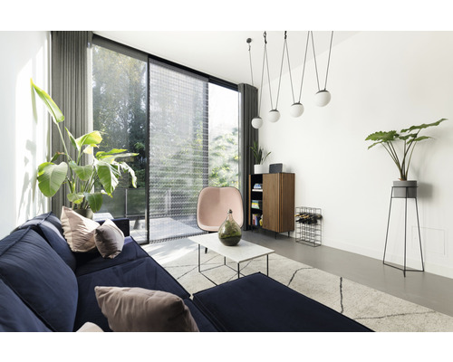 Woonkamer met bank, tapijt, bijzettafel, kast, stoel en kamerplanten in een helder ontwerp