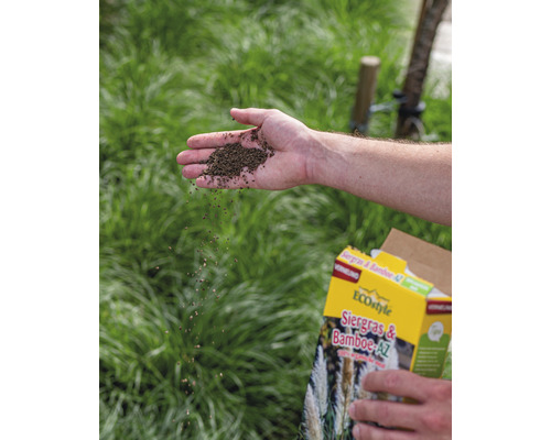 Een persoon zaait siergras- en bamboezaden uit een pak op een gazon.