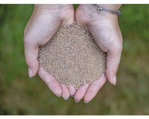 Close-up van twee handen die mest vasthouden