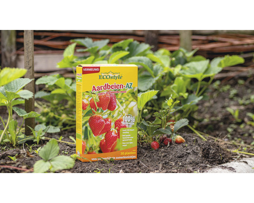 EcoStyle Aardbeien AZ aardbeienmest verpakking