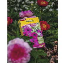 EcoStyle Zomerbloeiers AZ meststof verpakking tussen bloemen
