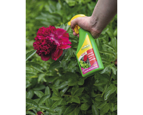 ECOstyle Vital plantenspray wordt op een bloem gespoten.