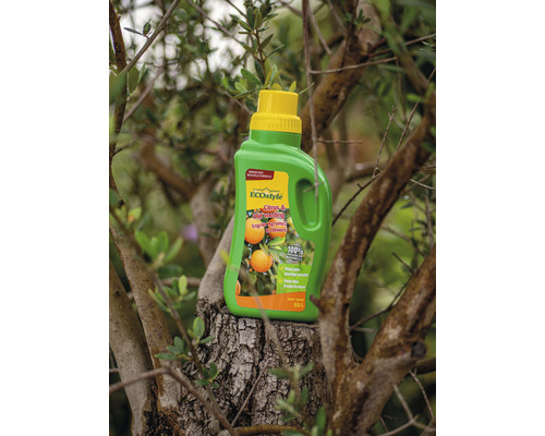 ECOstyle Citrus en Mediterrane meststof 0,5 liter fles