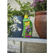 ECOstyle vloeibare meststof voor potplanten