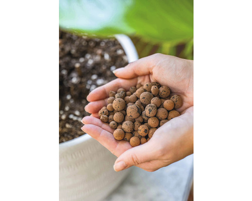 Een persoon houdt hydrokorrels in de handen voor een plantenbak.