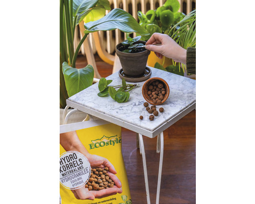 Hydrocultuur scène met plant in pot, hydrokorrels en verpakking Eco Style hydrokorrels