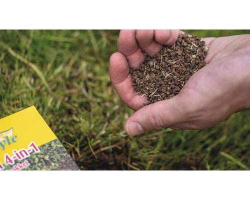 Een hand houdt graszaad boven een gazon.