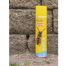 Wespenspraydose voor stenen muur