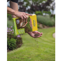 AZSTYLE ECOSTYLE Gazon 4-in-1 totaalpakket 500 gr