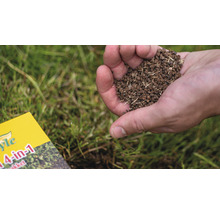 AZSTYLE ECOSTYLE Gazon 4-in-1 totaalpakket 500 gr