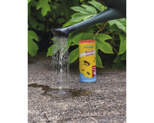 Gieter bewatert EcoStyle Mierenpoeder voor de bestrijding van mieren