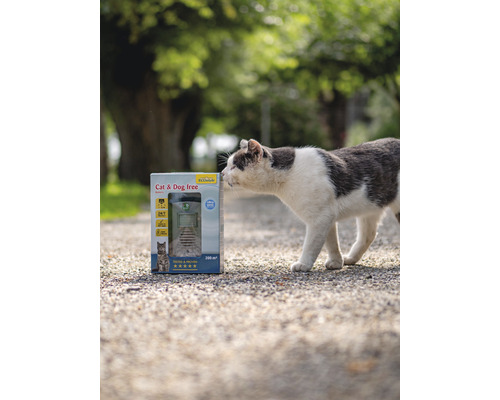 Kat snuffelt aan een verpakking voor een dierverjager