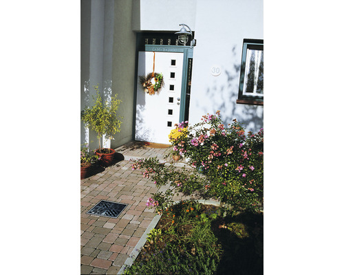 Entree van een huis met deur, planten en bestrating